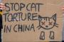 中国の猫虐殺グループの存在をBBCが報道。リーダーは東京在住