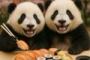 中国人「私が日本旅行中に便秘になる理由」　中国人「私も全く同じ！」「私は巨額の投資をした」