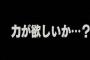 公園で泣いてるガキに「力が欲しいか？」ってささやくの楽しすぎワロタｗｗｗｗｗｗｗｗｗｗｗｗ
