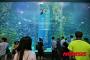 第2ロッテワールドの水族館に押し寄せる中国人観光客wwwwwww