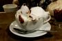 カプチーノで作ったスヌーピーがすごいｗｗｗだんだん職人レベル上がってきてるぜこれ