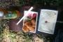 公園で食べる弁当うますぎワロタｗｗｗｗｗｗｗｗｗｗｗｗｗｗｗｗｗｗｗｗｗｗｗｗ