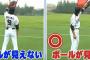 【少し長スレ】フライの落下地点ってなんでわかるの？