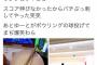 【朗報】ゆとり世代、すごすぎる