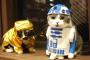 【画像】『スター・ウォーズ／フォースの覚醒』コスプレ乙ですnya!!