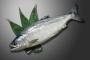 お前らの推し魚ってなに？