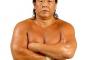 プロレスラー長州力選手について知ってる事