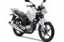 春が待ち遠しいね　【YAMAHA】YBR125【125MT】