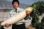 一種類だけ野菜を武器にして戦えって言われたら