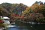 知ってほしい広島の観光地