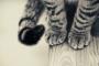 飼い主が寝込んでる時に猫が寄り添うのは「だいじょうぶ？」という気持ちが半分、もう半分は！！