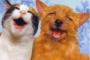【面白】プッ！と笑いそうになった他人の会話を教えてくださいｗｗｗｗｗｗ