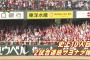 2016年度のカープファンwwwwwwwwwww