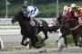 競馬ってパチンコみたいなギャンブルより理解できるよな	