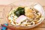 うどん最強は冷やしたぬき。これだけは何をもってしても譲れない