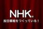 【NHK】海外メディア 参院選受け憲法改正などに言及･･･韓国、「戦争が可能な日本に･･･」　←　まるで日本だけが戦争が可能な国のような良い様　戦争中の国が何言ってんだ