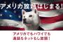 【ソフトバンク】アメリカ放題「無料」がひっそり終了　「ひっそり過ぎるわ！」と大混乱