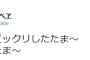 たまべヱ「太田選手、ビックリしたたま～ホームランたま～」