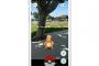 【悲報】ポケモンGO配信で“歩きスマホ”がなんと3倍に急増