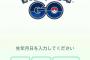 【ポケモンGO】携帯ショップがポケモンGOの初期設定サービスを開始するｗｗｗｗｗｗｗｗ