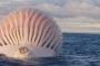 エイリアン？！海に浮かぶ巨大な謎の球体に釣り人もびっくり