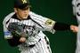 岩貞祐太 18試合 108回1/3 5勝8敗 防御率3.99