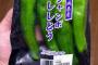 ジャンボししとうとか言うの買ってきた