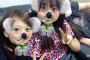【NMB48】木下春奈と岸野里香が電撃和解！！！
