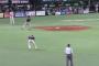 ロッテの月間エラー数18
