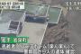 岩手・岩泉町の高齢者グループホーム「楽ん楽ん」で9人の遺体が見つかる … 台風10号の影響ですぐ傍の小本川が氾濫、31日午前0時まで水位が川岸の高さを超える状態