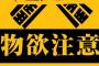 最近の若者「いらない何も」←これ