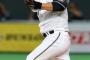 【朗報】日本ハムの北海道元年ユニフォーム高評価ｗｗｗｗｗｗｗｗｗｗｗｗｗｗｗｗｗｗｗｗｗｗ