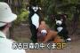 くまっち・・・お前らが笑ったコピーをぺーinばいくちゃんねる板