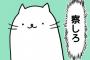 性格も趣味も合わなくなってきてFOを考えてた友人「なんで私をないがしろにするの！？」→正直なところを伝えても傷つけるだけと思うんだけどどうしたらいいの…orz