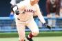 【朗報】早実、センバツほぼ確定！コールド勝ちで決勝進出！清宮は3打数1安打