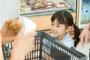 【驚愕】親（客）「ほら、帰るよ!」子ども「嫌だ!買ってー!」 ﾊﾞｲﾄ僕「（なんだ、たった200くらいのお菓子か…せや!）」→結果ｗｗｗｗ