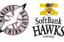 SB-ロッテ開幕戦　和田-涌井に決定