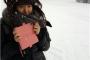 【画像】竹達彩奈さんに雪が降りるwwww