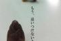 ワイたけのこの里派、ついにきのこの山派の殲滅を決意