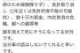 Twitter民｢免停中に事故をおこしたンゴ｣