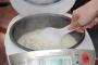 【閲覧注意】炊飯器の中の残飯を一カ月放置した結果ｗｗｗｗｗ
