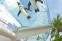 【画像】このペンギンたち、涼しげでいいなぁ…