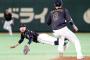 WBCの鉄壁ガチガチ内野陣ｗｗｗｗｗ