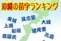 【画像】沖縄のかっこいい名字で打線組んだｗｗｗｗｗｗｗ