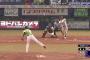 【GIF】ヨシノブクリニックｗｗｗｗｗｗｗｗｗｗ