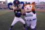 DeNA濱口vs中日・京田の新人王争いwwwwww