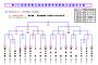 【高校野球】秋の東北大会　組み合わせ 	