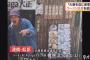 客「あれ？このラーメン屋大麻の匂いがするなぁ通報したろ」