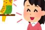 いかつく汚い方言ランキング　1位大阪　2位広島　3位青森　4位福岡　5位鹿児島 	