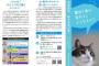 【猫の政治利用】肉球新党・猫の生活が第一「憲法9条を守れ！戦争反対！原発反対！」